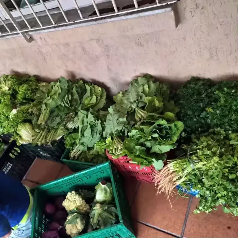 Ação contínua de entrega de alimentos da Casa da Palha